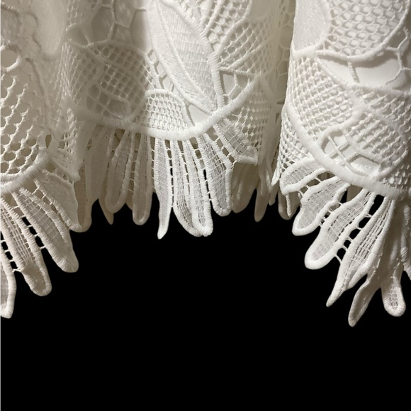 Lilly Pulitzer Marlissa Shift Resort White Jumbo Floral
Scallop Lace Dress, SZ 2 - Picture 10 of 16